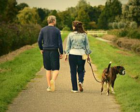 Dog Walking Philippines